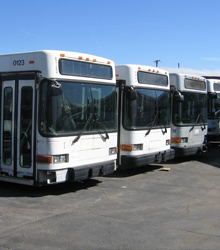 bus fleet